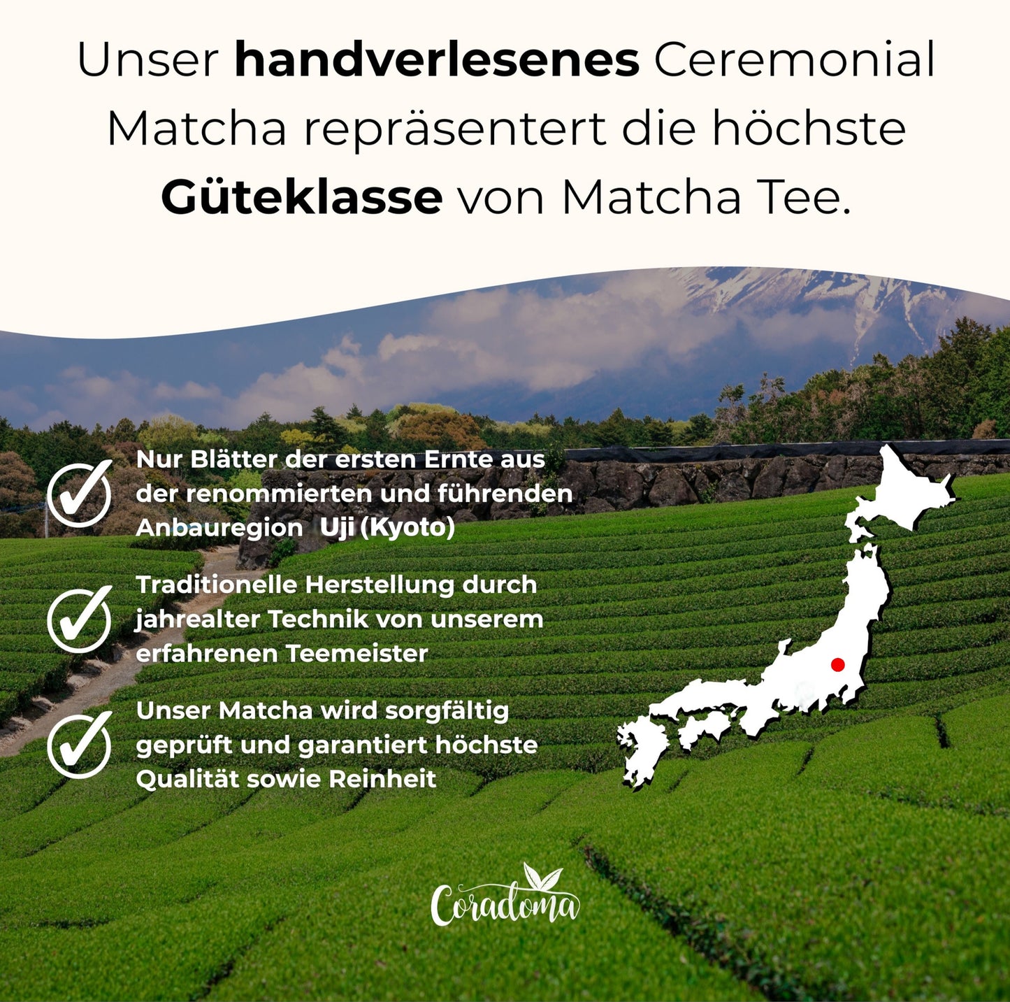 Coradoma® Ceremonial Grade Matcha – Reines Matcha-Pulver aus Japan Uji Kyoto – 40g Dose / 100g Beutel