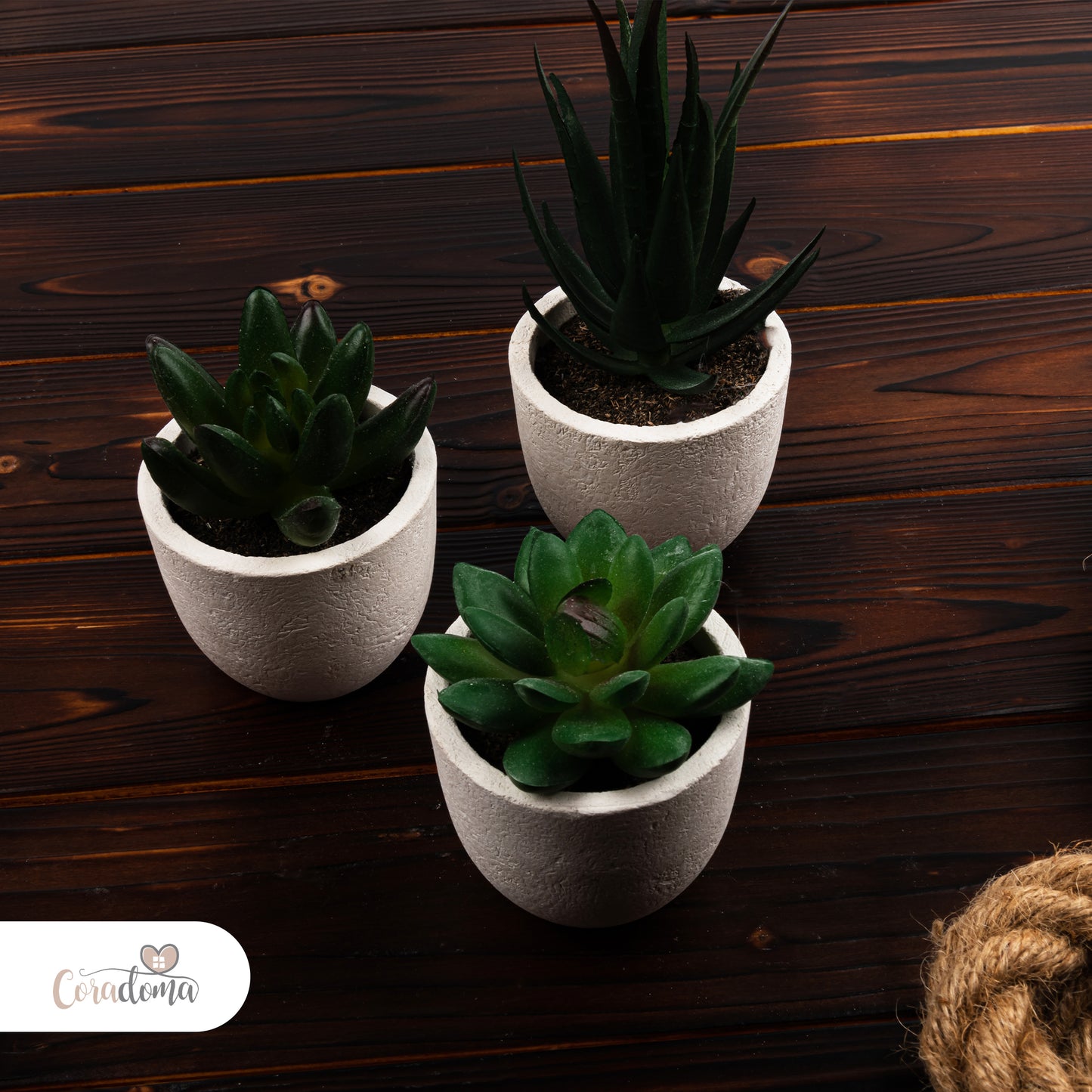 Coradoma® Künstliche Pflanzen Mini Topf, 3er Set / 4er Set Kunstblumen Dekoration