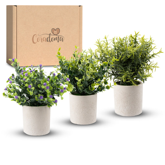 Coradoma® Künstliche Pflanzen 3er Set im weißen Topf Kunstpflanzen Dekoration