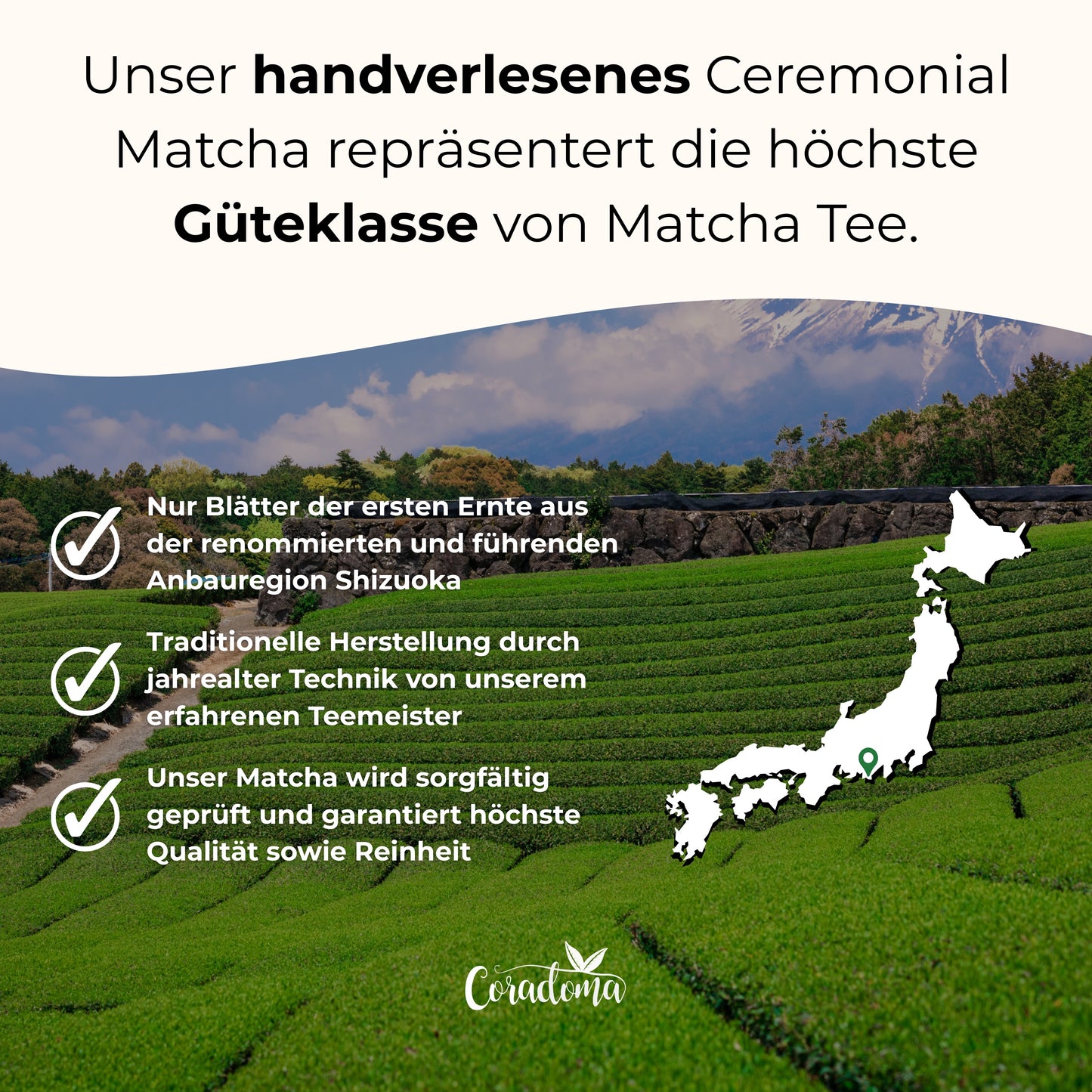 Coradoma® Ceremonial Grade Matcha – Reines Matcha-Pulver aus Japan Shizuoka erste Ernte – 40g Dose / 100g Beutel