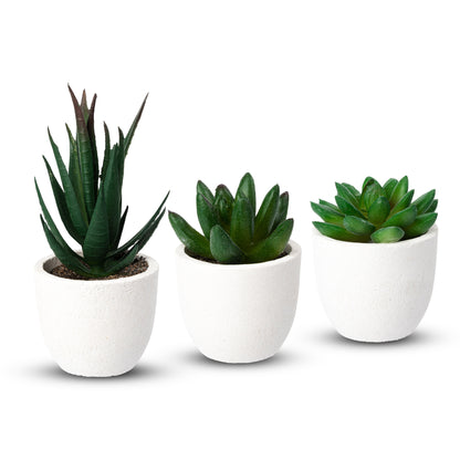 Coradoma® Künstliche Pflanzen Mini Topf, 3er Set / 4er Set Kunstblumen Dekoration