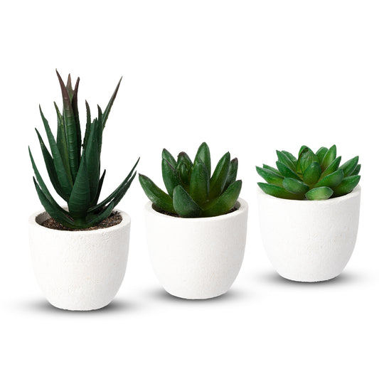 Coradoma® Künstliche Pflanzen Mini Topf, 3er Set / 4er Set Kunstblumen Dekoration
