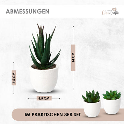 Coradoma® Künstliche Pflanzen Mini Topf, 3er Set / 4er Set Kunstblumen Dekoration