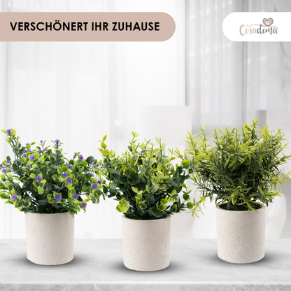 Coradoma® Künstliche Pflanzen 3er Set im weißen Topf Kunstpflanzen Dekoration