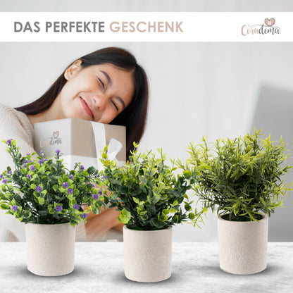 Coradoma® Künstliche Pflanzen 3er Set im weißen Topf Kunstpflanzen Dekoration