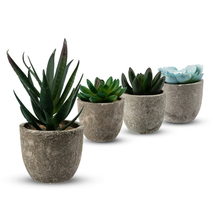 Coradoma® Künstliche Pflanzen Mini Topf, 3er Set / 4er Set Kunstblumen Dekoration