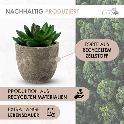 Coradoma® Künstliche Pflanzen Mini Topf, 3er Set / 4er Set Kunstblumen Dekoration