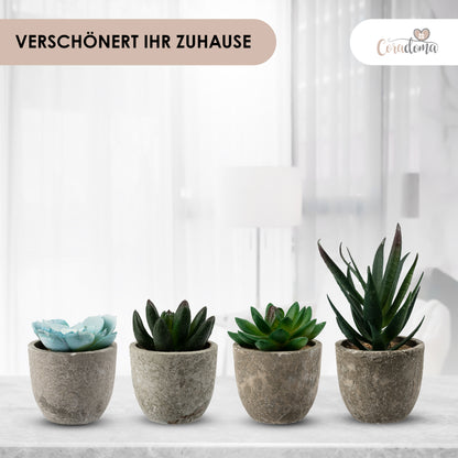 Coradoma® Künstliche Pflanzen Mini Topf, 3er Set / 4er Set Kunstblumen Dekoration