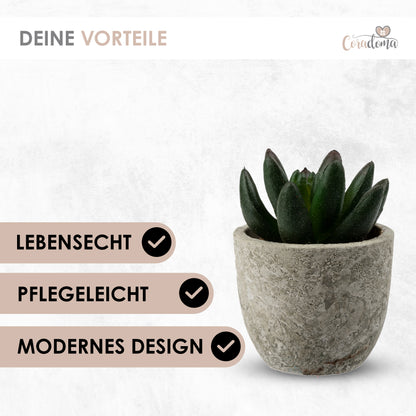 Coradoma® Künstliche Pflanzen Mini Topf, 3er Set / 4er Set Kunstblumen Dekoration