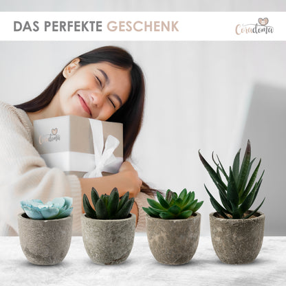 Coradoma® Künstliche Pflanzen Mini Topf, 3er Set / 4er Set Kunstblumen Dekoration